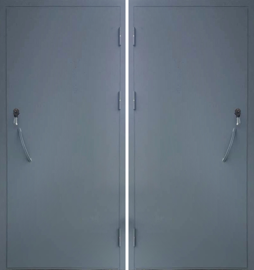 Техническая дверь, металлическая, порошок, цвет серый